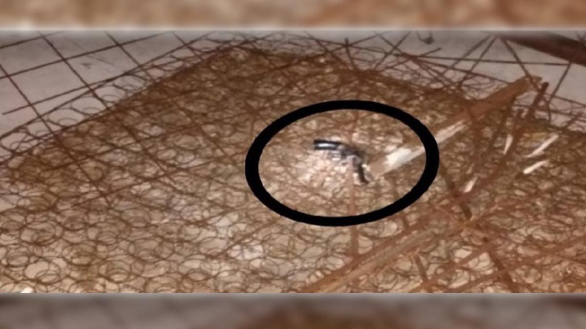 El arma que fue encontrada arriba del techo de un vecino