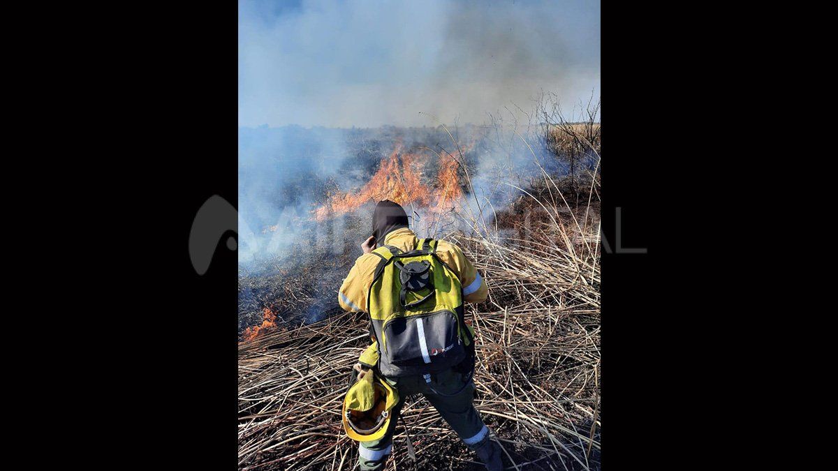 La ausencia de precipitaciones complejiza la tarea de los brigadistas.
