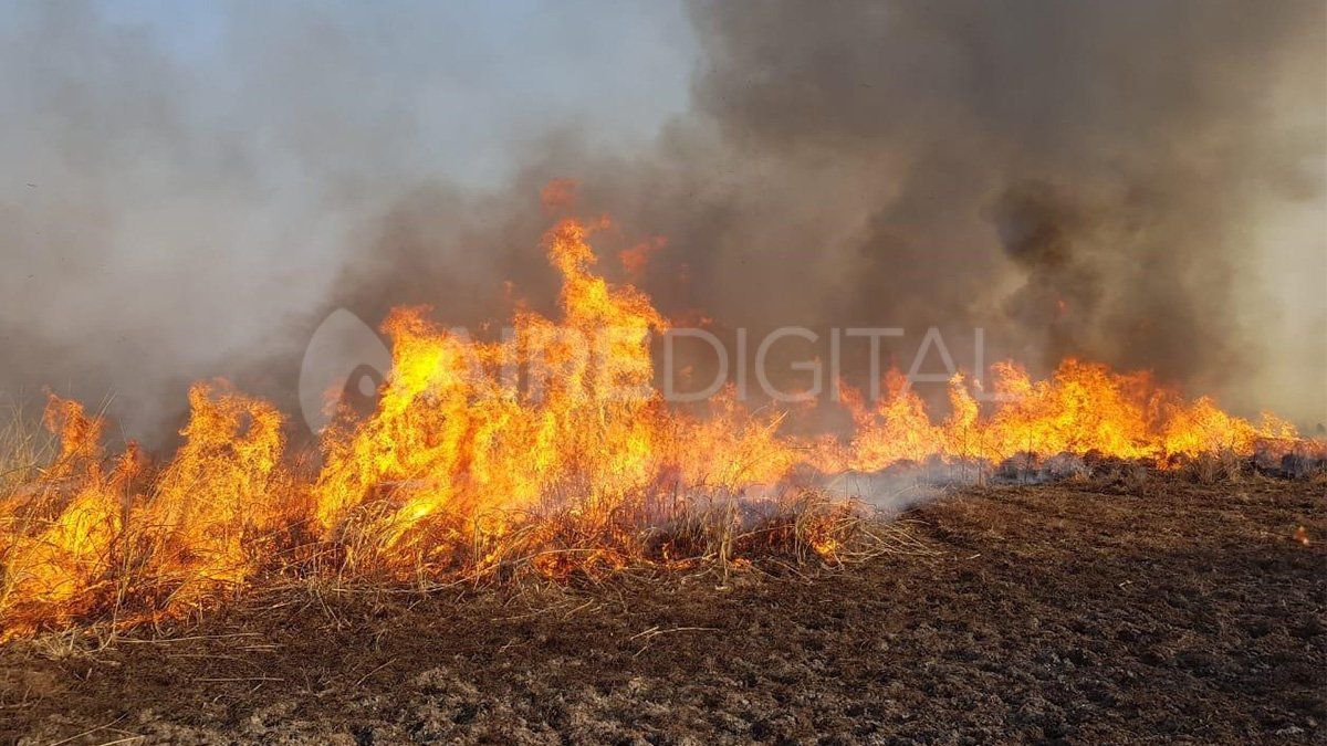 Personal Sistema Provincial del Manejo del Fuego en la zona de donde se registran los incendios. 