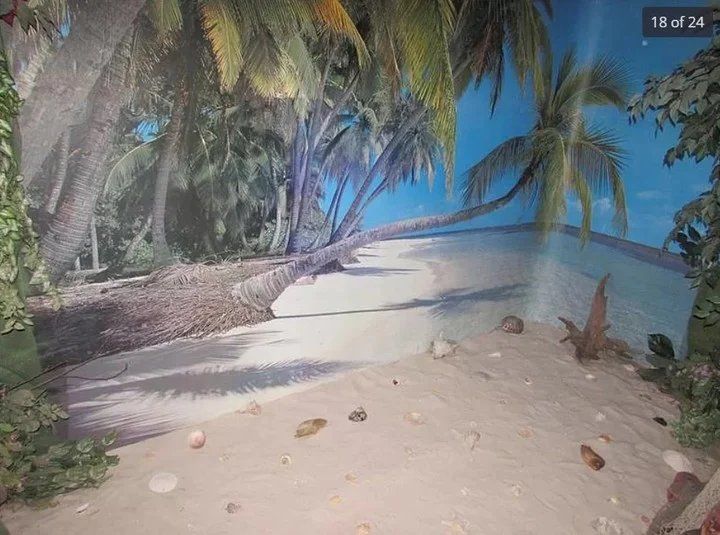 Las imperdibles fotos de la casa más rara del mundo.