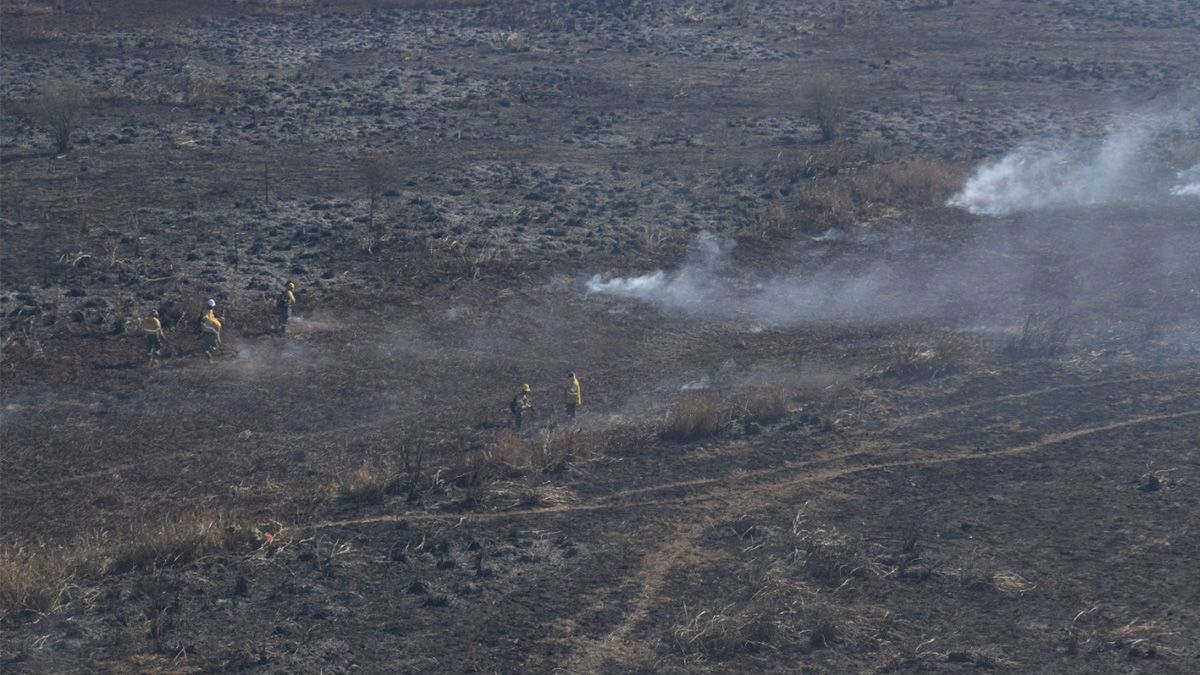 Los mayores focos ígneos se presentan en el cordón costero de San Lorenzo hasta la localidad bonaerense de San Nicolás.