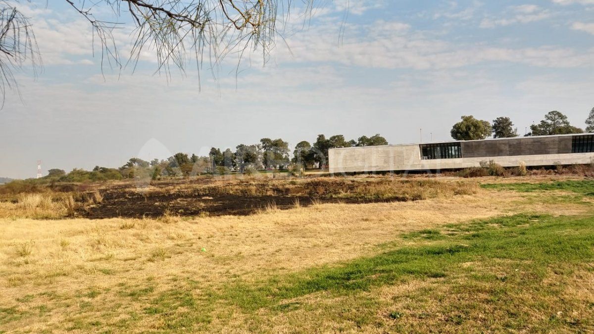 Incendio de pastizales en la zona del Museo de la Constitución.