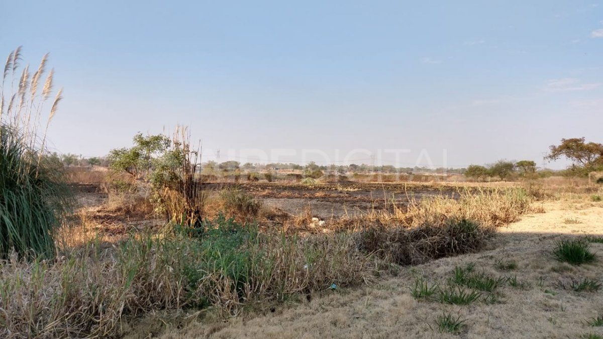 Incendio de pastizales en inmediaciones del Museo de la Constitución.