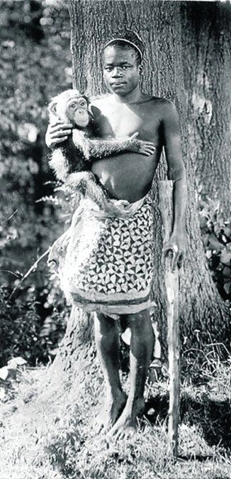 Ota era "exhibido" en el zoo del Bronx. 