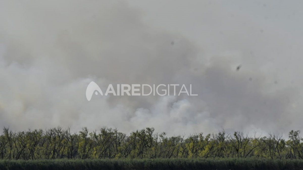 Los incendios en las islas entre Rosario y Victoria generaron fuertes movilizaciones de ambientalistas y vecinos de la ciudad del sur de Santa Fe.