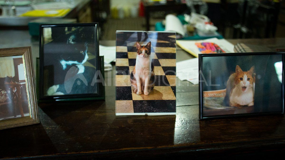 Los recuerdos de Amelia Higa están todos dentro de las paredes del Café Tokio Norte de Santa Fe.