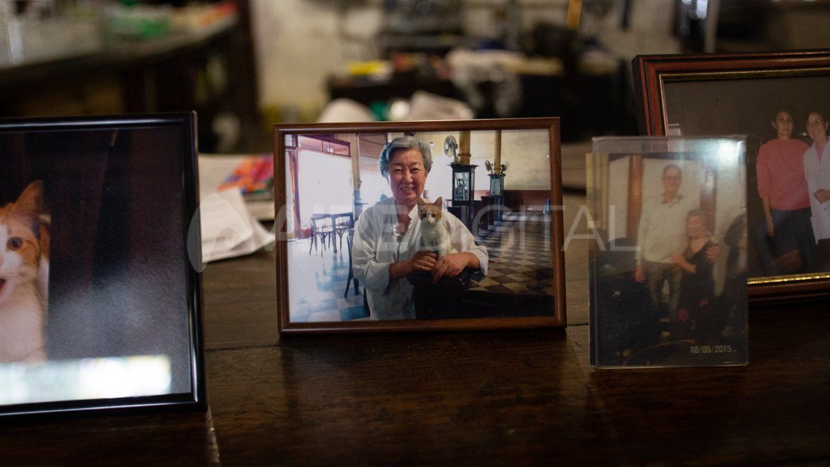 Amelia nació en 1939 ya