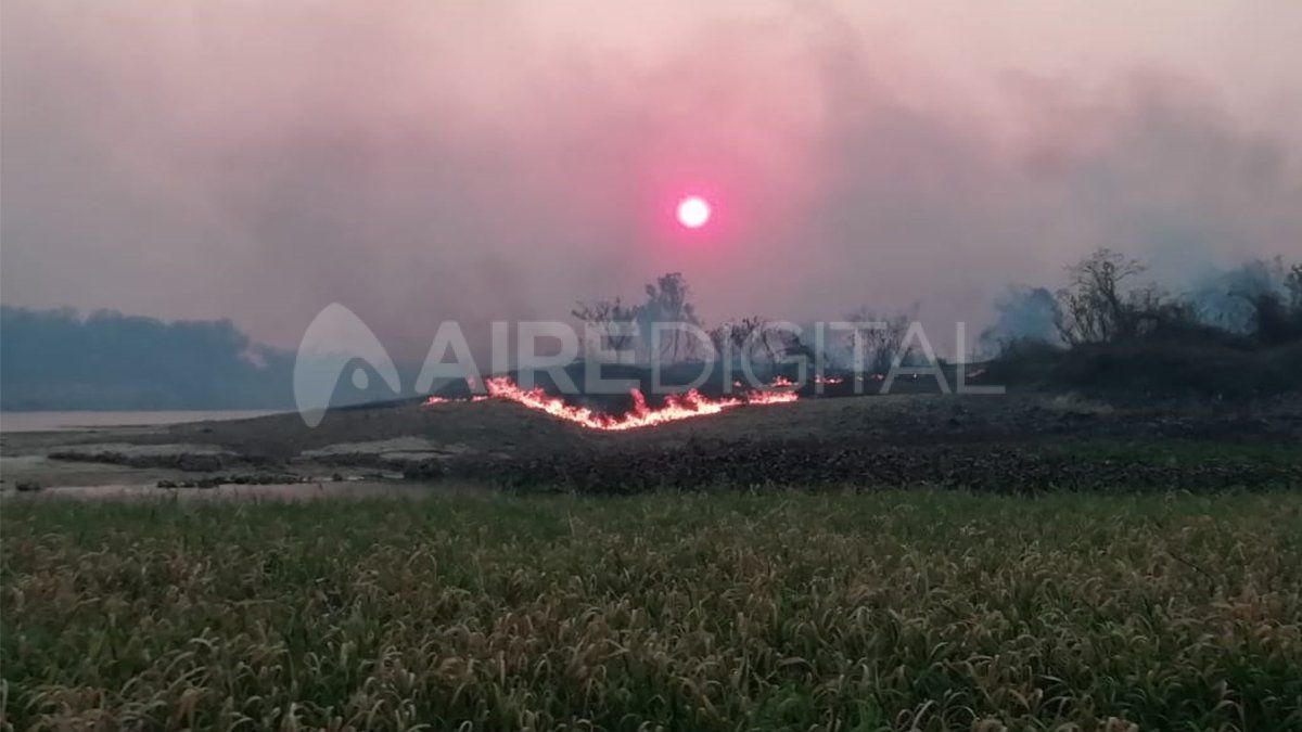 El Jaaukanigás es uno de los sitios más importantes de la Argentina por su biodiversidad y el sistema hidrológico.
