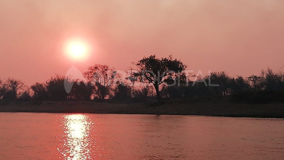 El sitio proporciona un hábitat ideal para un gran número de especies, algunas vulnerables o en peligro de extinción.