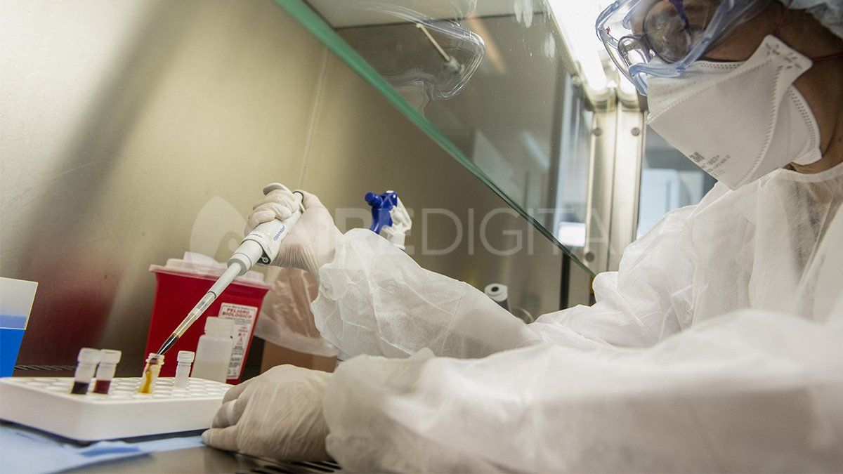 Hoy se procesan en toda la provincia unas 1.115 muestras para coronavirus por día.