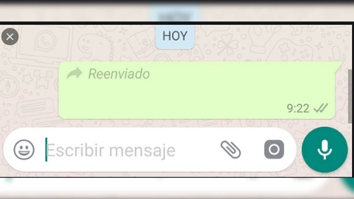 Reenviado de WhatsApp.jpg