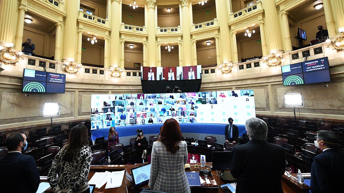 Moratoria: los senadores debaten en videoconferencia.