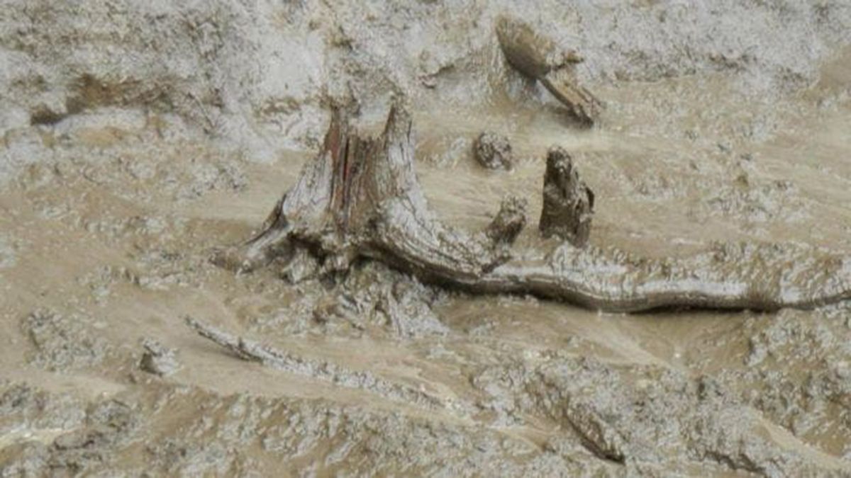 Dentro del gran agujero, paleontólogos han hallado restos de bisontes, mamuts, caballos, alces y renos de hace 4400 años.