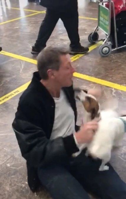 El increíble recibimiento de dos perros a su dueño