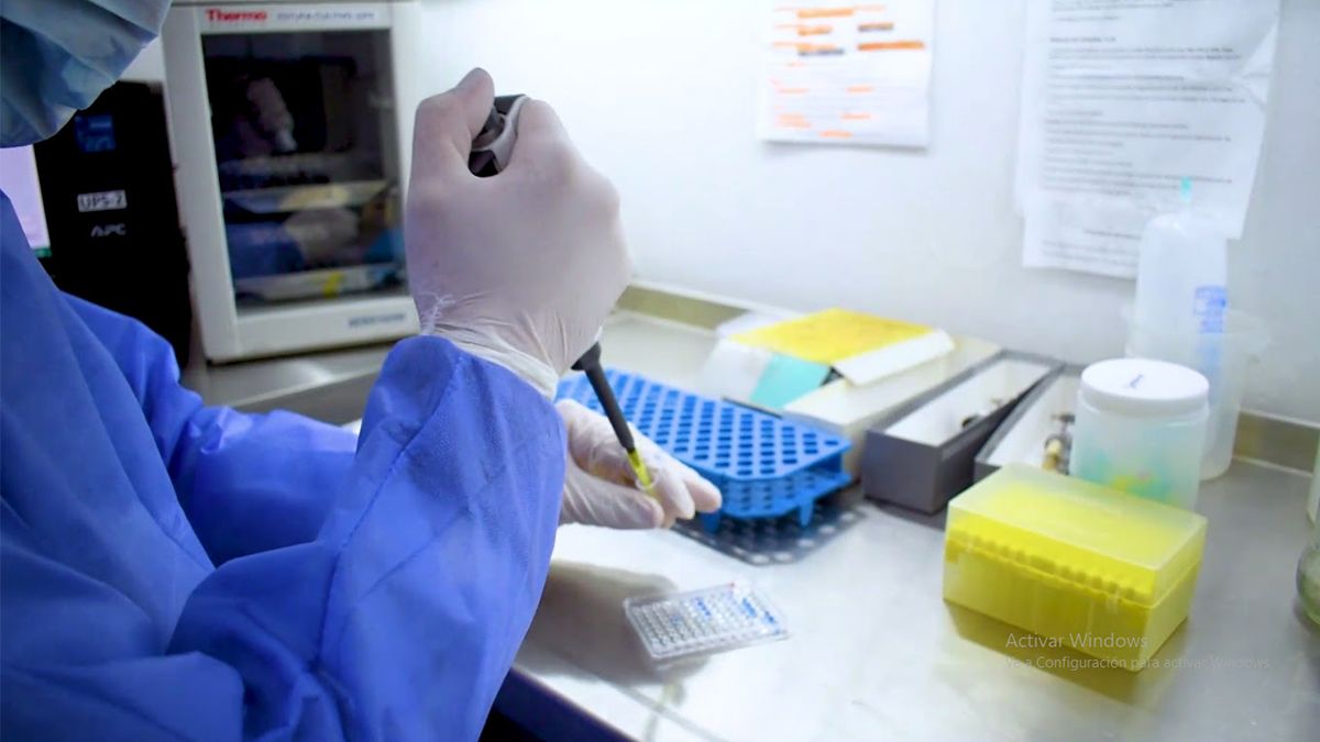 Coronavirus: Impulsan un protocolo para que familiares puedan despedirse de enfermos terminales