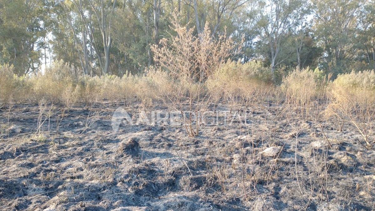 Así quedó parte del campo incendiado.