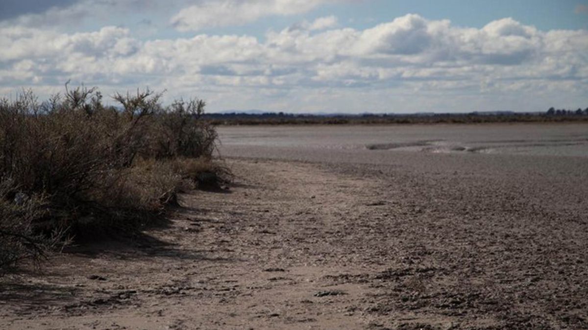 causa astudillo castro