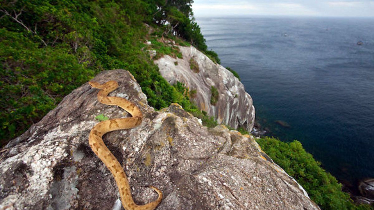 Ilha de Queimada, Brasil.