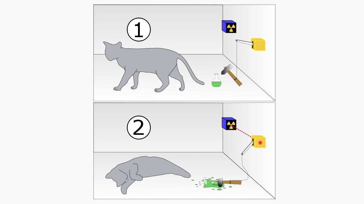 ¿Por qué que el gato se envenenó y no se envenenó y está muerto y está vivo a la vez? Porque a nivel cuántico la partícula está en ambos lados al mismo tiempo, al derecho y al izquierdo.