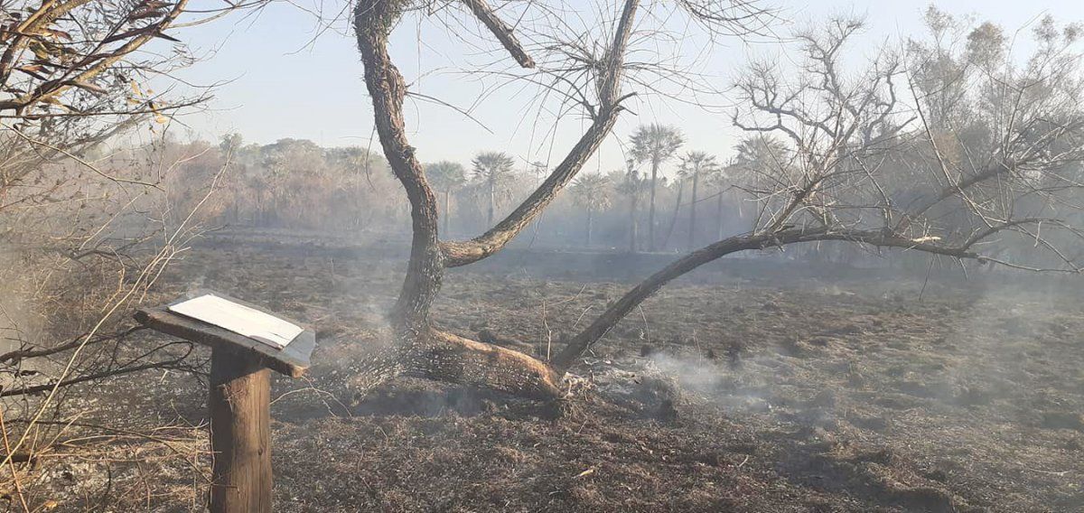 Incendios Corrientes