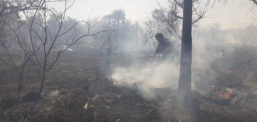 Por los incendios, se quemó parte de una reserva ecológica en Corrientes