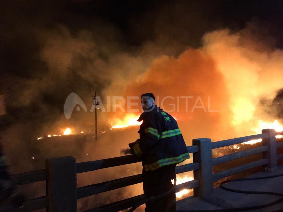 Los constantes incendios están relacionados con la falta de lluvias y la bajante.