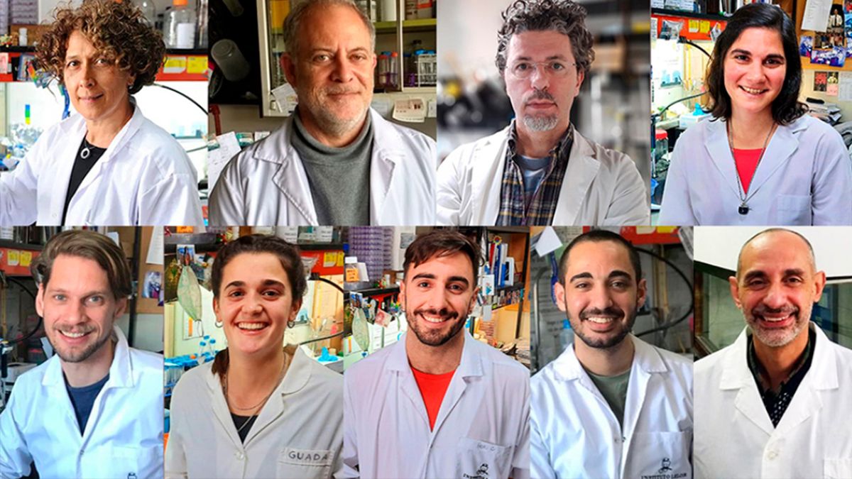 El equipo que creó los test COVIDAR IgG e IgM: Gamarnik, Yanovsky, Caramelo, González López Ledesma, Ojeda, Costa Navarro, Pallarés, Sánchez y Carradori.