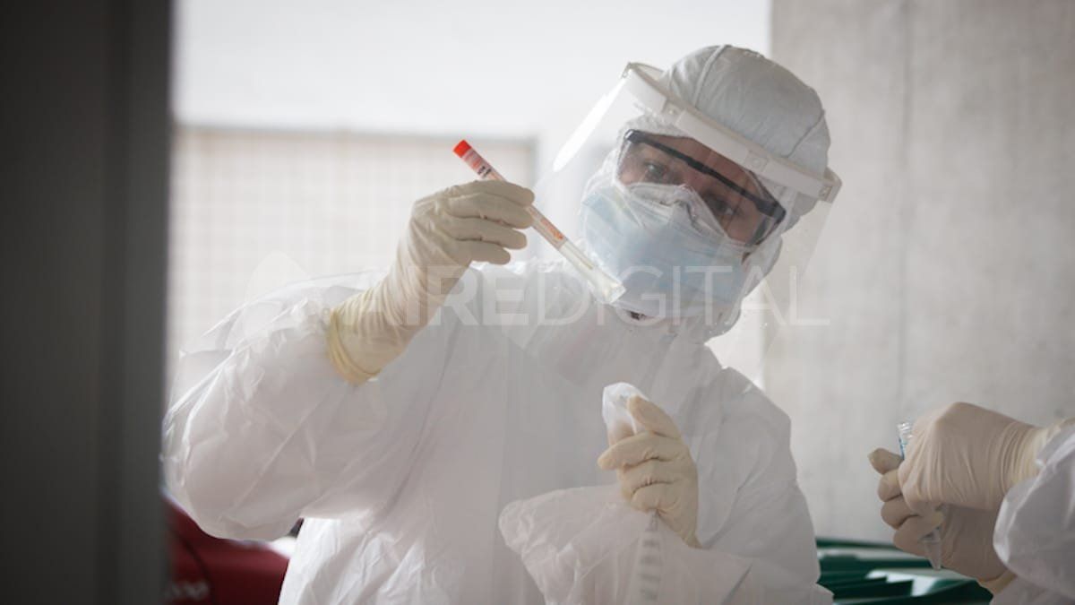 El análisis brinda “información es de suma importancia para pensar políticas y programas municipales que contemplen las particularidades en el territorio”.