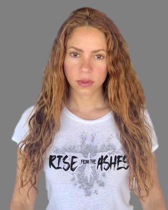 En lo que respecta a Shakira, presuntamente adquirió una finca de 1,1 millones de dólares en la ciudad de Nasáu. No obstante, pese a que Shakira pagaba la luz, el agua y la televisión por cable a través de una agencia, no las consumía ella sino los empleados que cuidaban la casa. Tampoco visitó la isla en ese período.