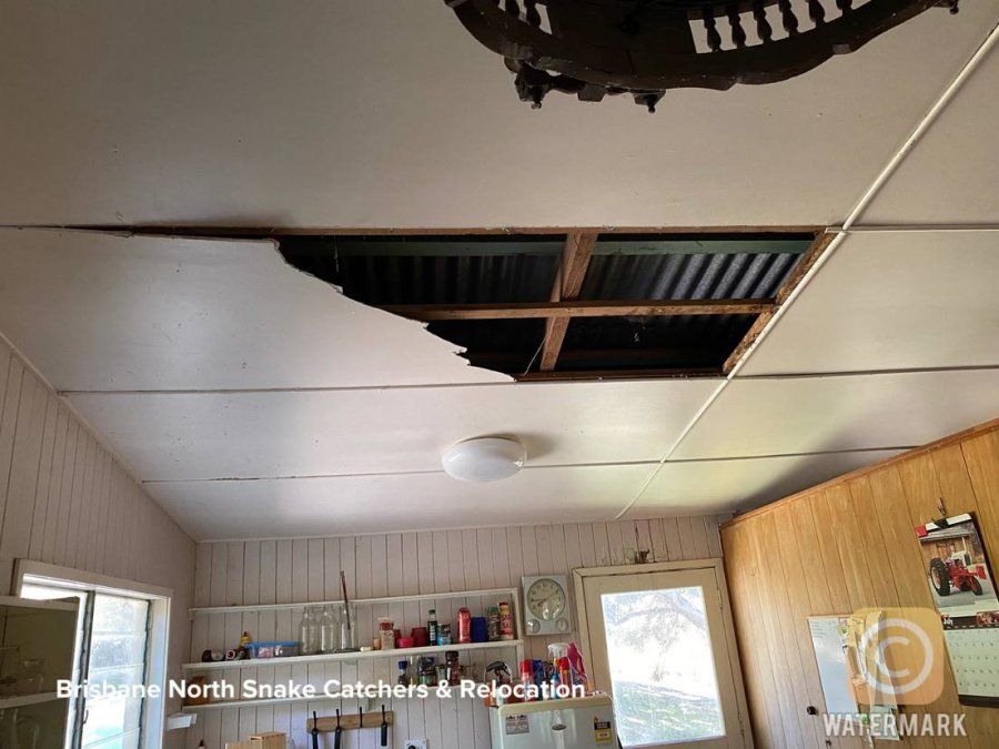 Agujero en el techo de la cocina producido por la caída de las dos pitones.