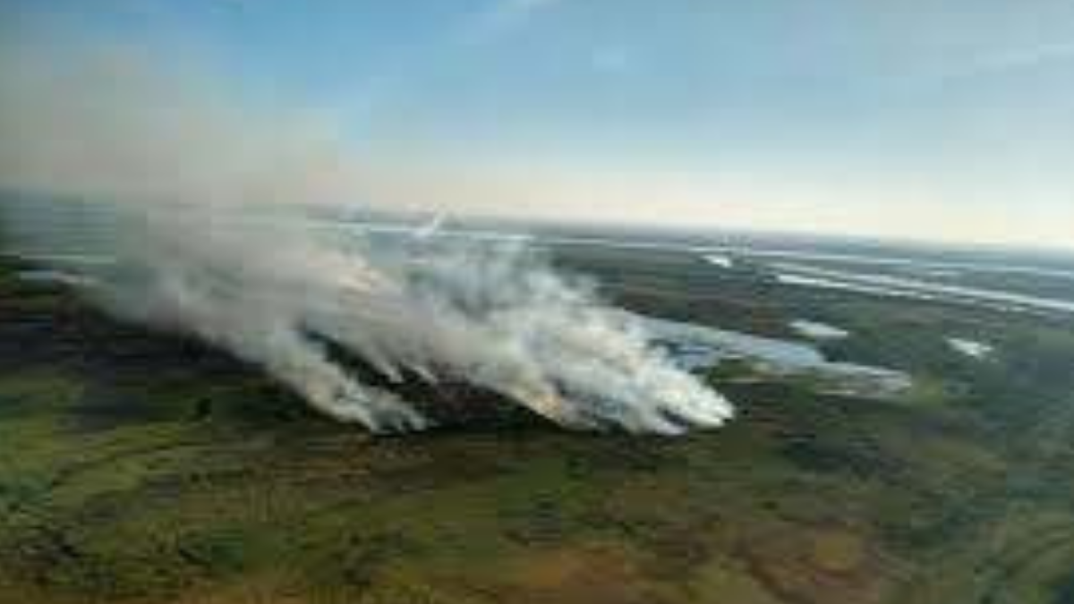 Vista aérea de los incendios que ya devoraron miles de hectáreas