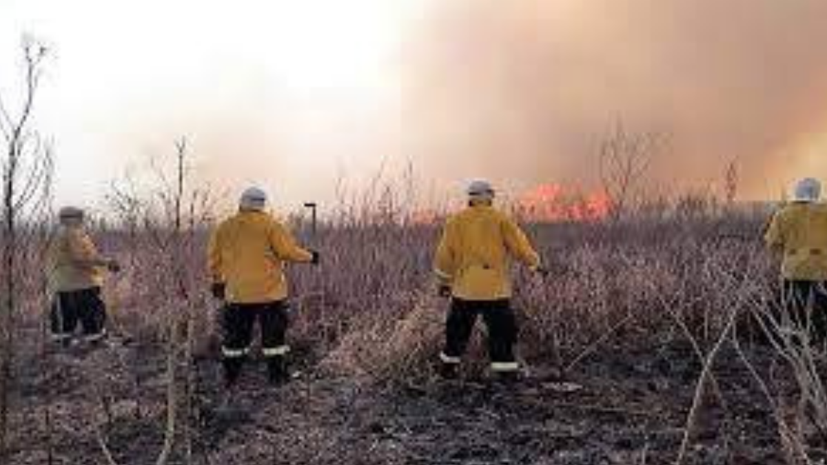 Son seis las causas penales acumuladas en un juzgado Federal de la ciudad Paraná