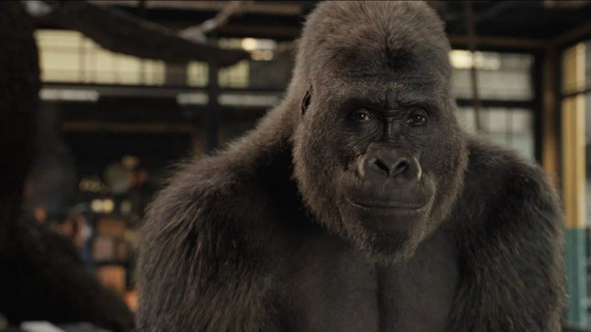 The One and Only Ivan es una película de fantasía estadounidense de 2020dirigida por Thea Sharrock a partir de un guión escrito por Mike White , basado en la novela infantil del mismo nombre de KA Applegate .