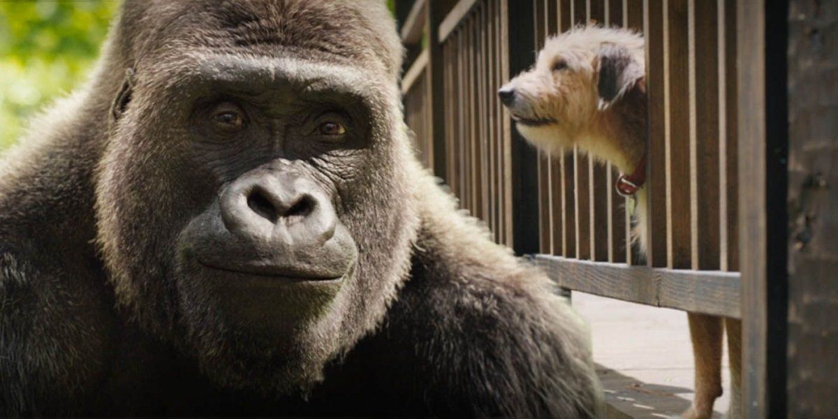 El 9 de abril de 2014, se anunció que Walt Disney Pictures iba a adaptar el libro con la producción de Allison Shearmur . El 6 de mayo de 2016, se anunció que Mike Newell dirigiría, con un guión de Mike White. El 24 de marzo de 2017, Thea Sharrock entró en negociaciones para dirigir la película después de que Newell dejó el proyecto. El 16 de octubre de 2017, se informó que Jolie se había unido a la película como productora y como voz de un elefante llamado Stella. El 15 de noviembre de 2017, Prince fue elegido para interpretar a Ruby, la cría de elefante