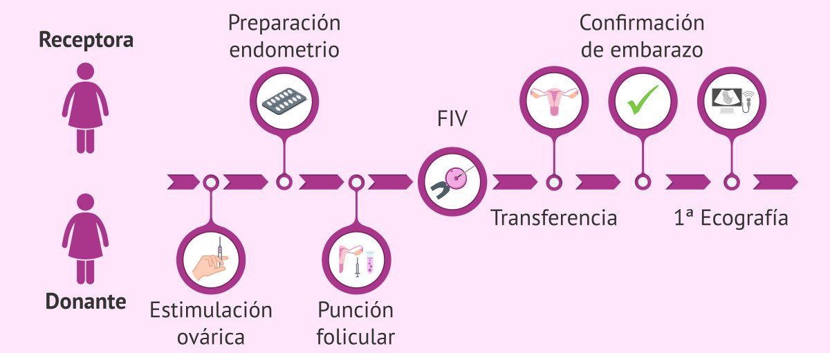 Testimonios De Hijos Nacidos Por Ovodonación Piden inscribir como hijo de dos copadres a un nene concebido por