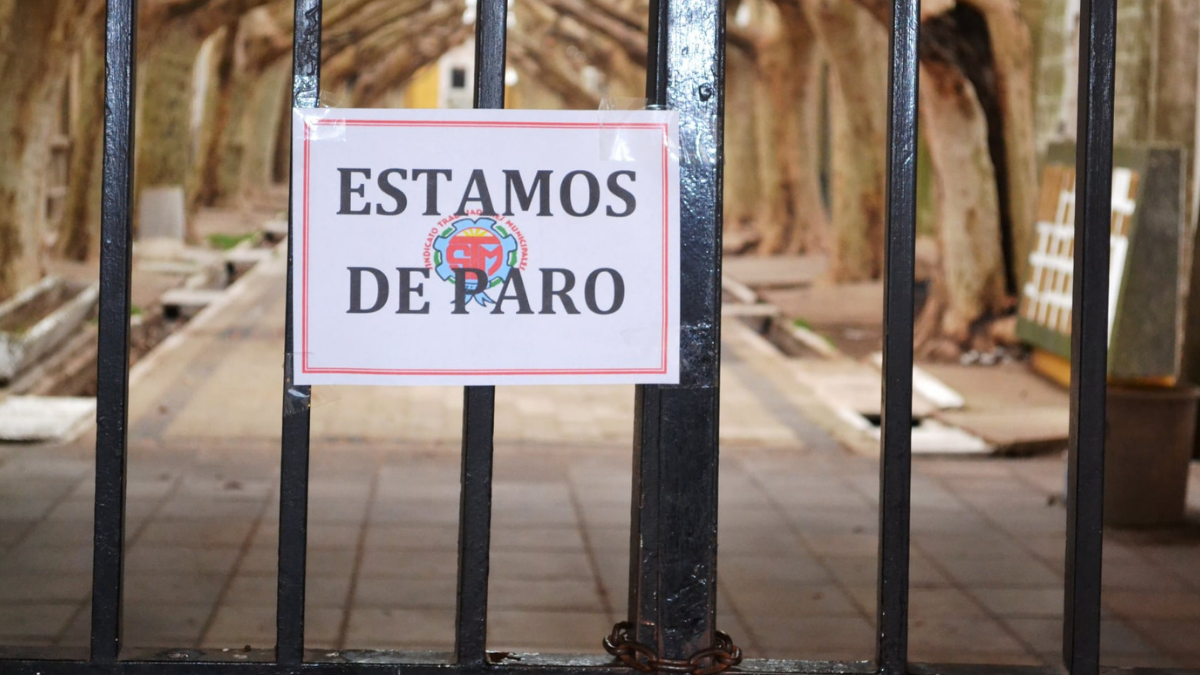 El paro que finaliza este jueves fue de 72 horas y desde Festram aseguran que fue alto el acatamiento