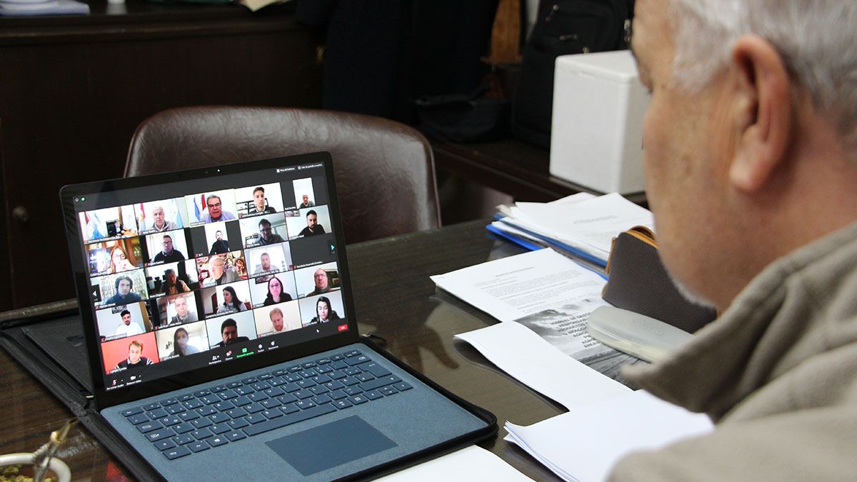 Torelli durante el encuentro virtual con referentes de los gobiernos de Entre Ríos y Córdoba.