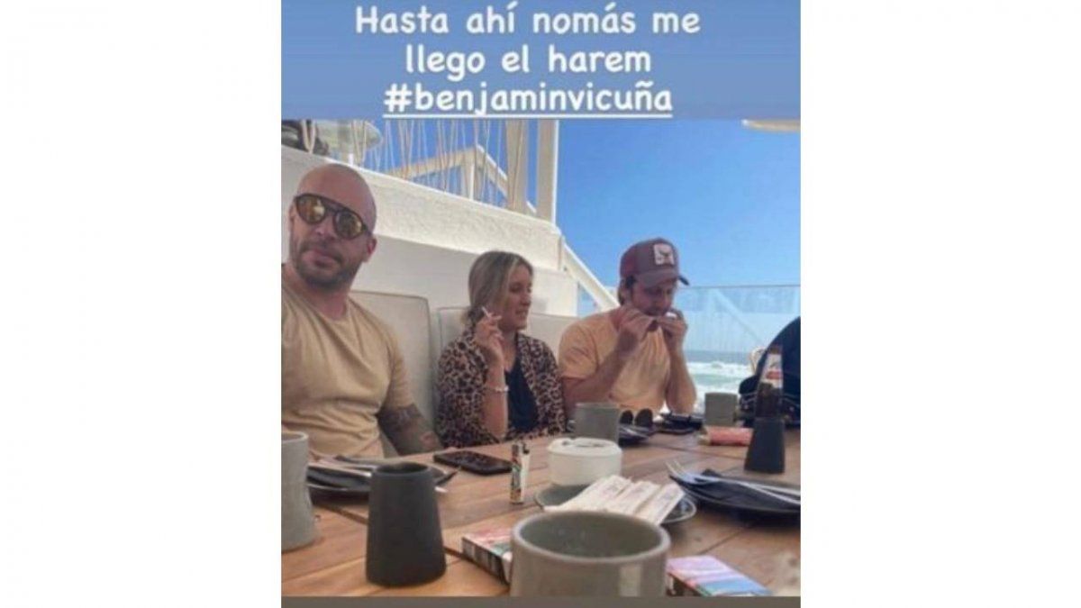 Vicuña rodeado de gente en Chile.