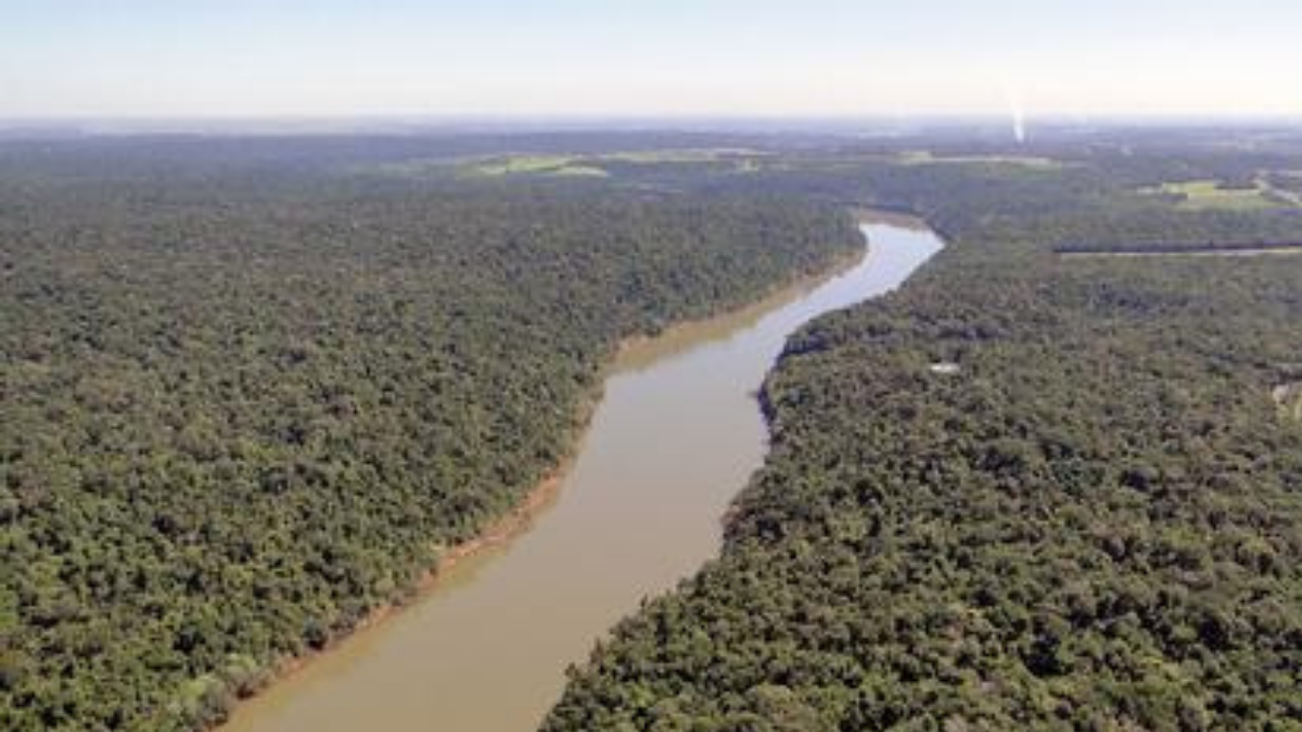 El delta del río Paraná