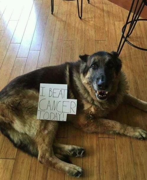 “Hoy derroté al cáncer”.