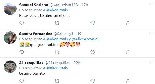 Las reacciones en Twitter