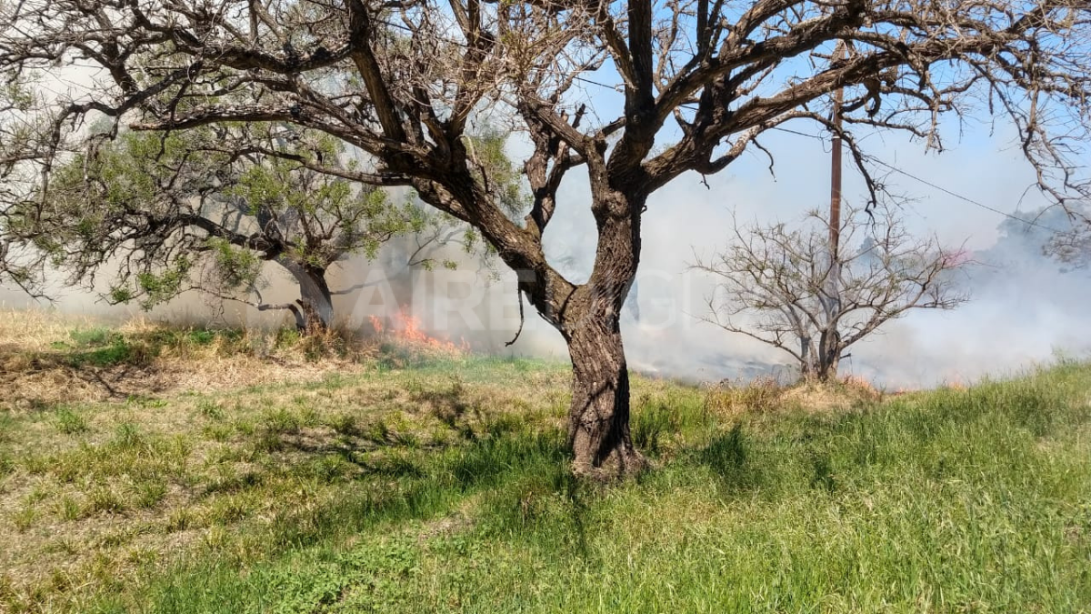 Incendio en Rincón, a la vera de la ruta 1 entre las calles 8 y 10. 