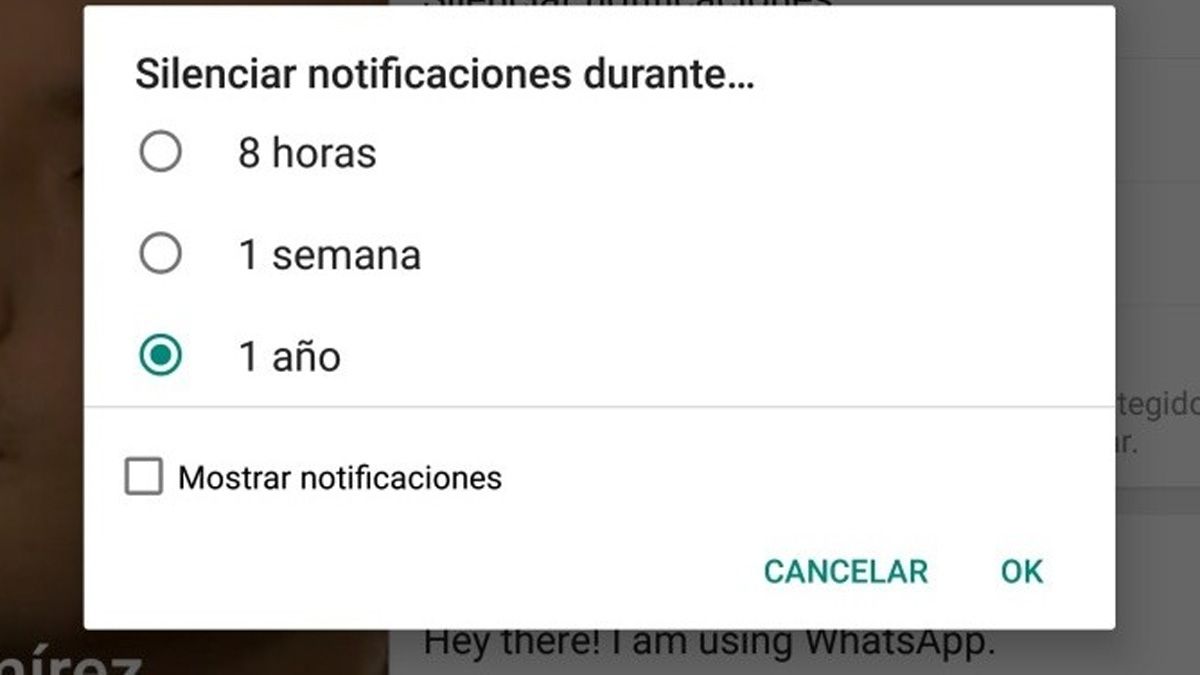Silenciar en WhatsApp