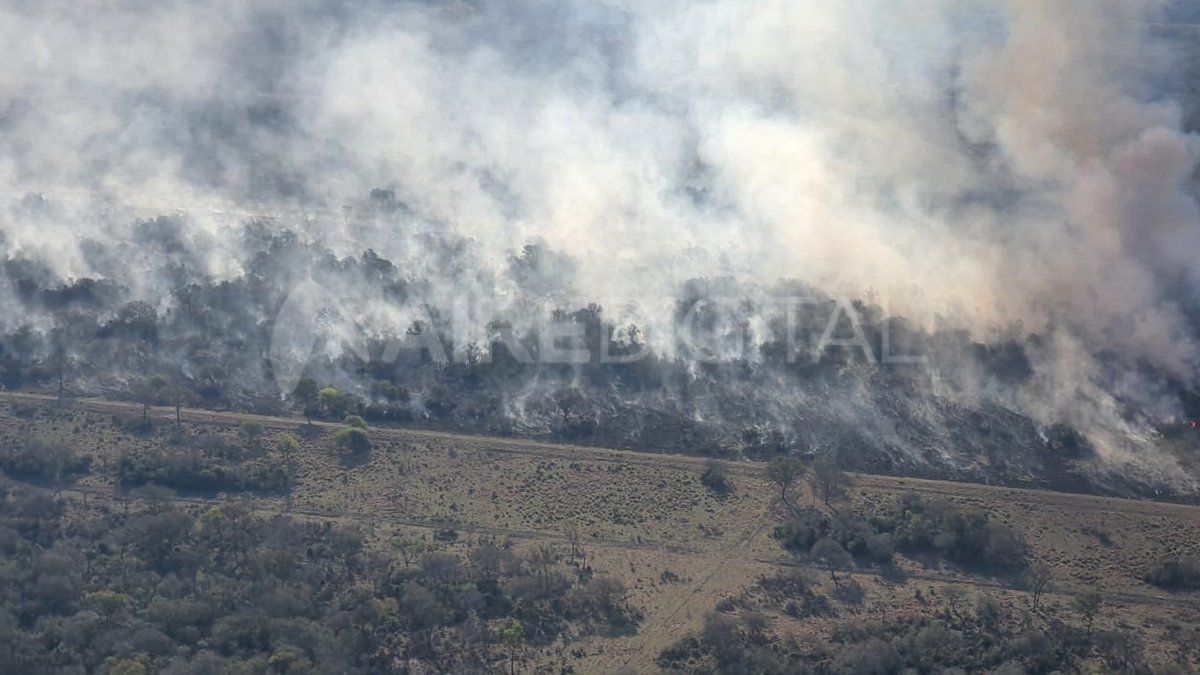 Vista aérea de los incendios en Los Amores.