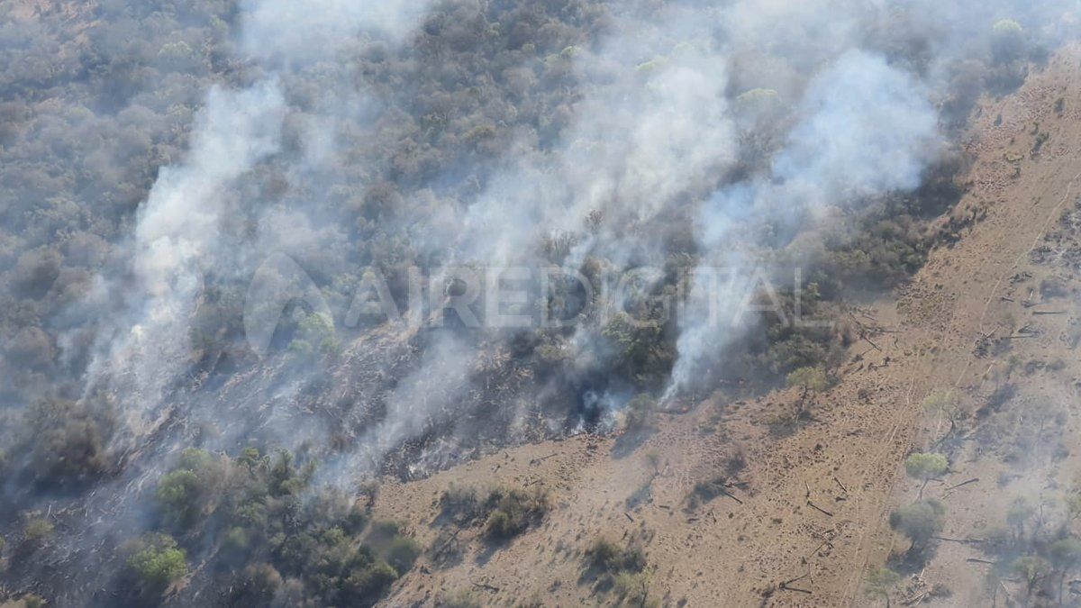Unas 15.000 hectáreas fueron arrasadas por el fuego en Los Amores.