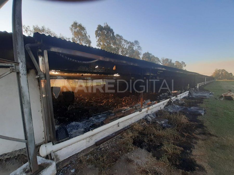 El fuego también provocó daños importantes en las instalaciones.