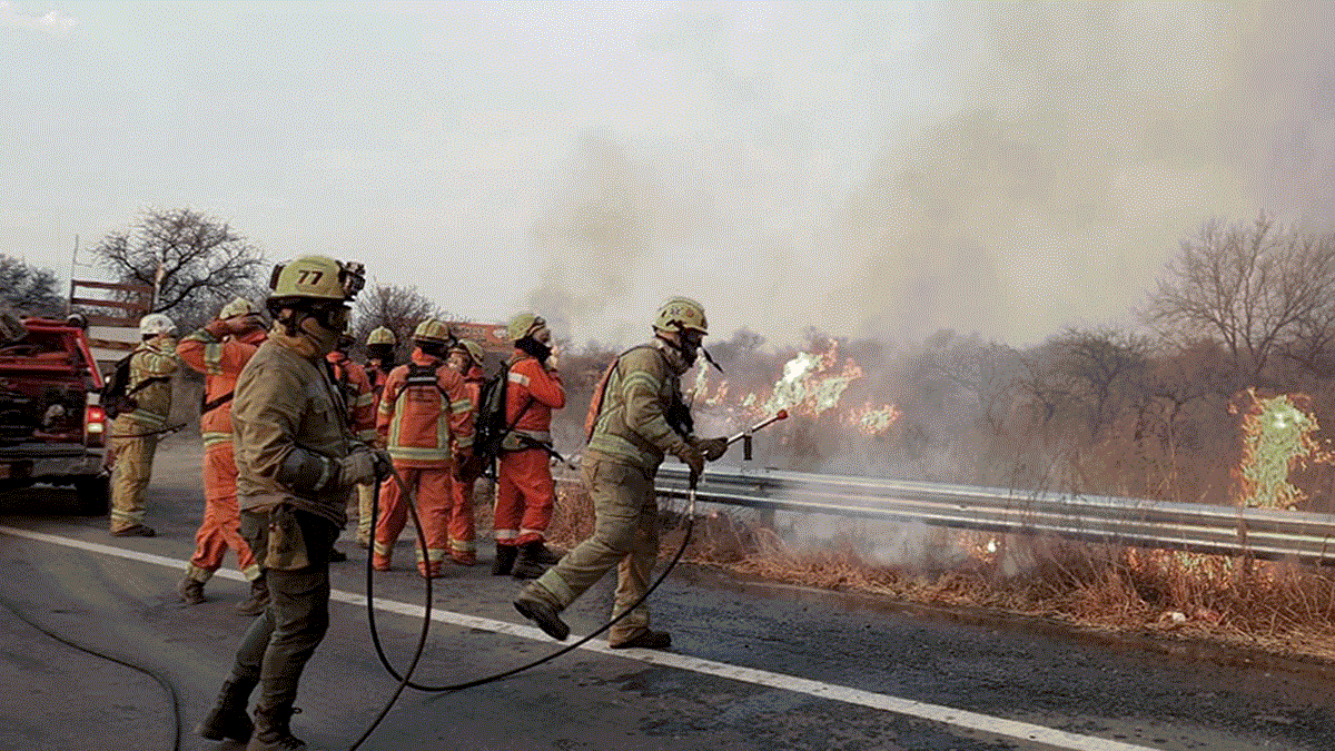 Bomberos combaten cuatro focos activos de incendios forestales en las sierras de Córdoba Bomberos combaten cuatro focos activos de incendios forestales en las sierras de Córdoba