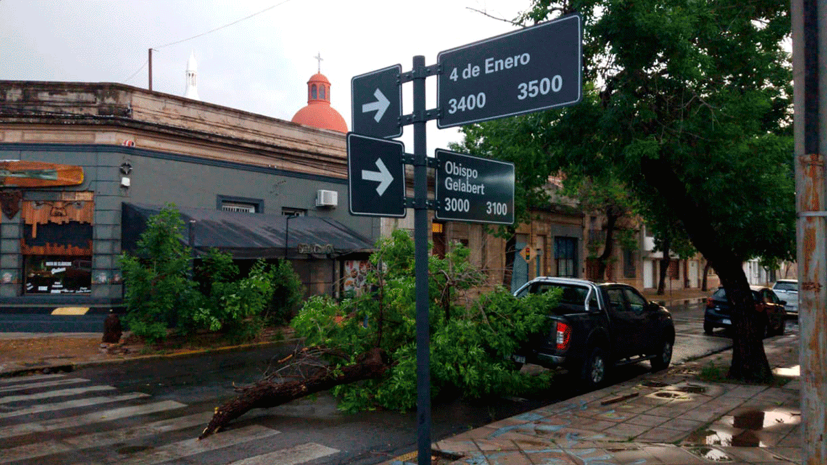 La tormenta provocó la caída de un árbol que fue arrancado de raíz y cayó sobre el asfalto de Bulevar Gálvez. La tormenta provocó la caída de un árbol que fue arrancado de raíz y cayó sobre el asfalto de Bulevar Gálvez.