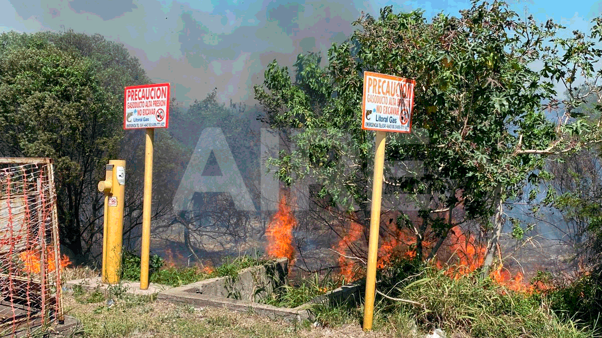 El fuego se desató pasadas las 11.30 y consumió varias hectareas.&nbsp;
