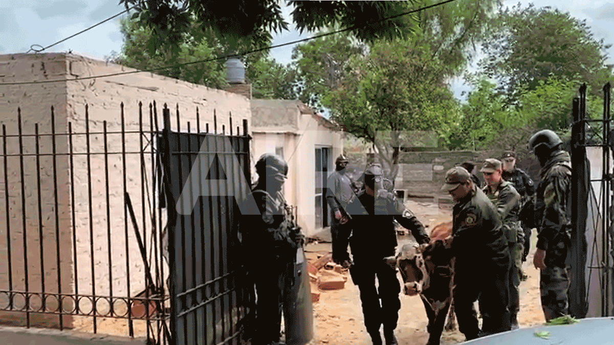 Encuentraron un ternero y dos pitbulls en la casa donde detuvieron a Brian